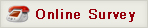 Online Survey