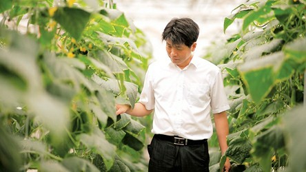 浦江水源守到 果实 累累 记浦江第一村村主任张永强