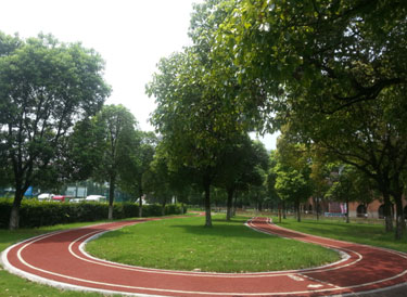 2014年市政府实事项目意见征集