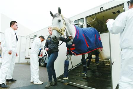 上海浪琴环球马术冠军赛29日将正式开战 首批