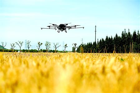 松江家庭农场雇无人机洒药除虫 解决劳动力不