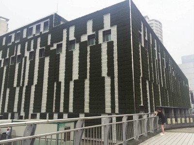 上海最大面积绿墙项目落成 专家把脉城市垂直