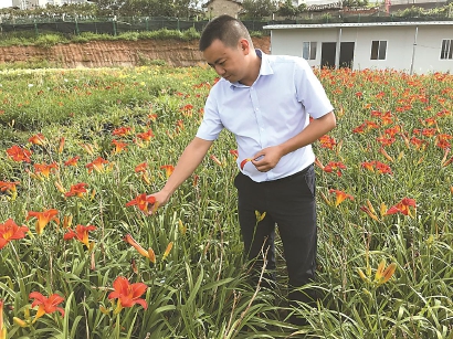 进一步深化对口帮扶与科技合作 沪滇科技成果对接签约项目112项