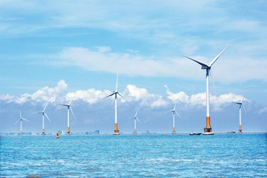 绿色海上风电点亮千家万户 东海大桥风电场全