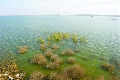 青草沙原水通水切换12月启动 明年6月一半市民