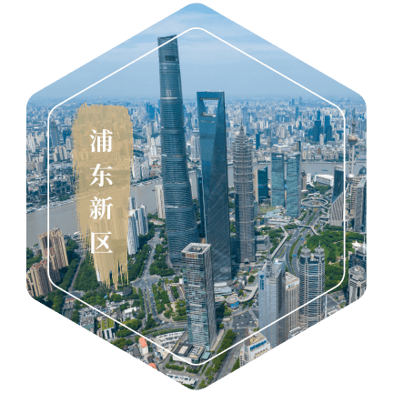 浦东