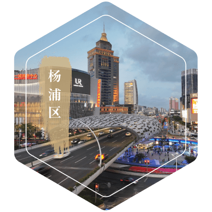 杨浦