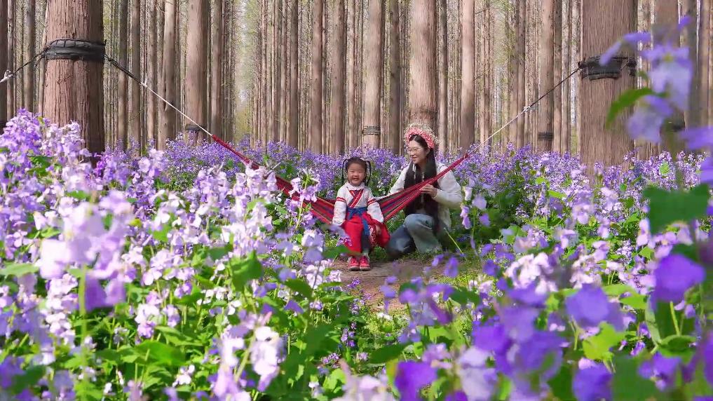 20250405f61a38edd7974e1aa57e903961fb6c68_94be6fe2336146c691e06d368f923026.jpg 20250405f61a38edd7974e1aa57e903961fb6c68_94be6fe2336146c691e06d368f923026.jpg