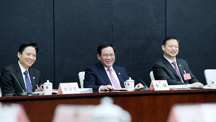 李强参加嘉定代表团审议