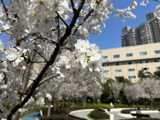 0812_141455_502.jpg 640 (7).jpg