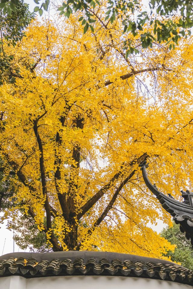 1216_150138_798.jpg 微信图片_2024-12-16_135308_600.png