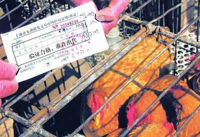 《上海市畜禽养殖管理办法》即将出台