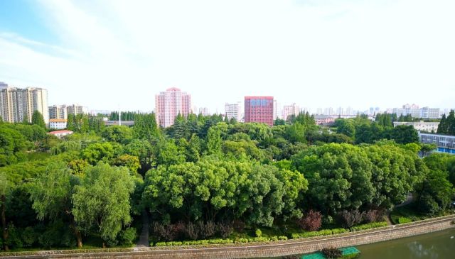 0726_144117_467.jpg 640.png