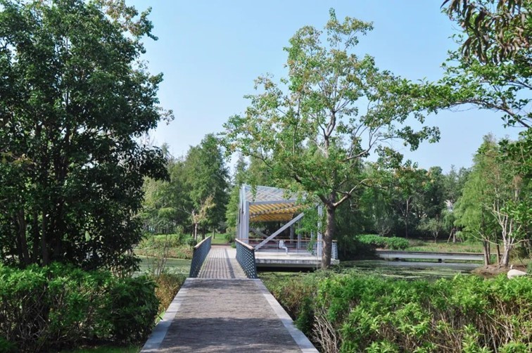 寒风乍起，秋意正浓，你想要的绝色秋光就藏在青浦！