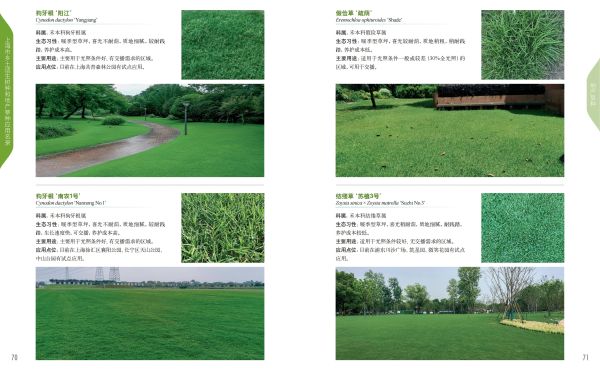 上海市乡土适生树种和地产草种应用名录_2026-3-31_1__39.jpg 上海市乡土适生树种和地产草种应用名录_2026-3-31_1__39.jpg