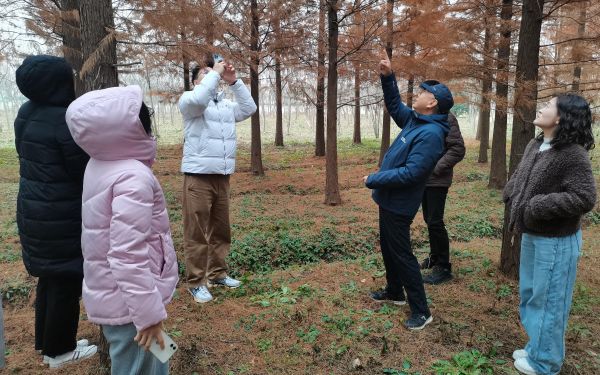 市林业总站携手专家 为上海森林质量提升精准施策3.jpg 市林业总站携手专家 为上海森林质量提升精准施策3.jpg