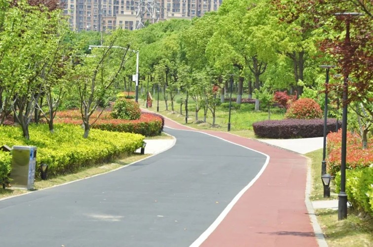 追风少年的春日漫游指南,带你邂逅青浦的N种风情! 追风少年的春日漫游指南,带你邂逅青浦的N种风情!