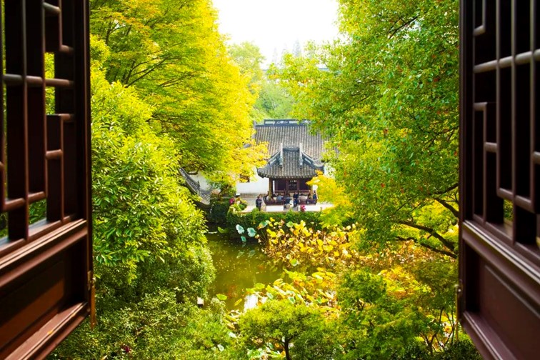 香满秋·一起游|人间十月,桂香满襟!青浦绝佳赏桂地,原来在这里! 香满秋·一起游|人间十月,桂香满襟!青浦绝佳赏桂地,原来在这里!