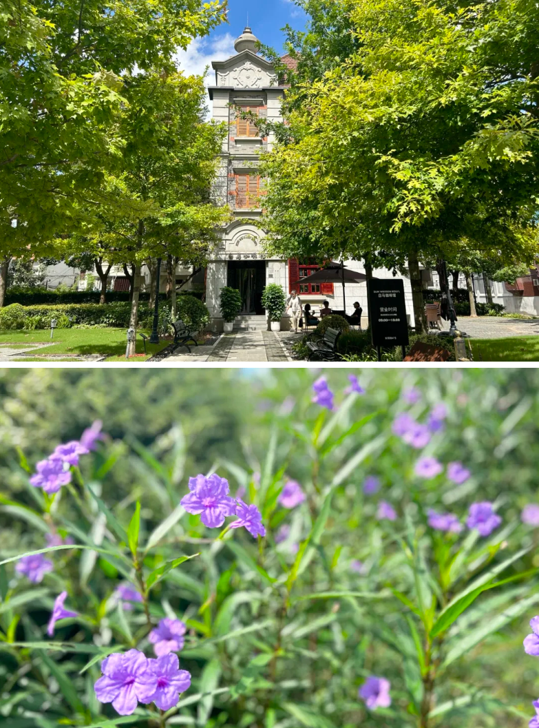 20241015081701086797.png image.png