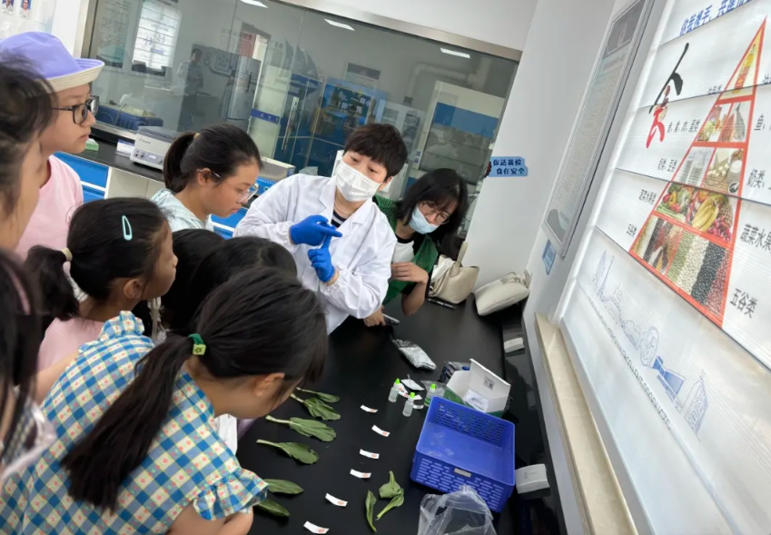 20240814112208926_11989238.png 20240814112208926_11989238.png