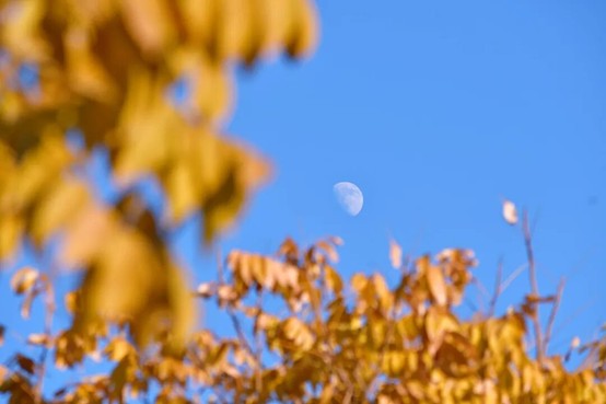 2026逛青浦环城水系公园指南