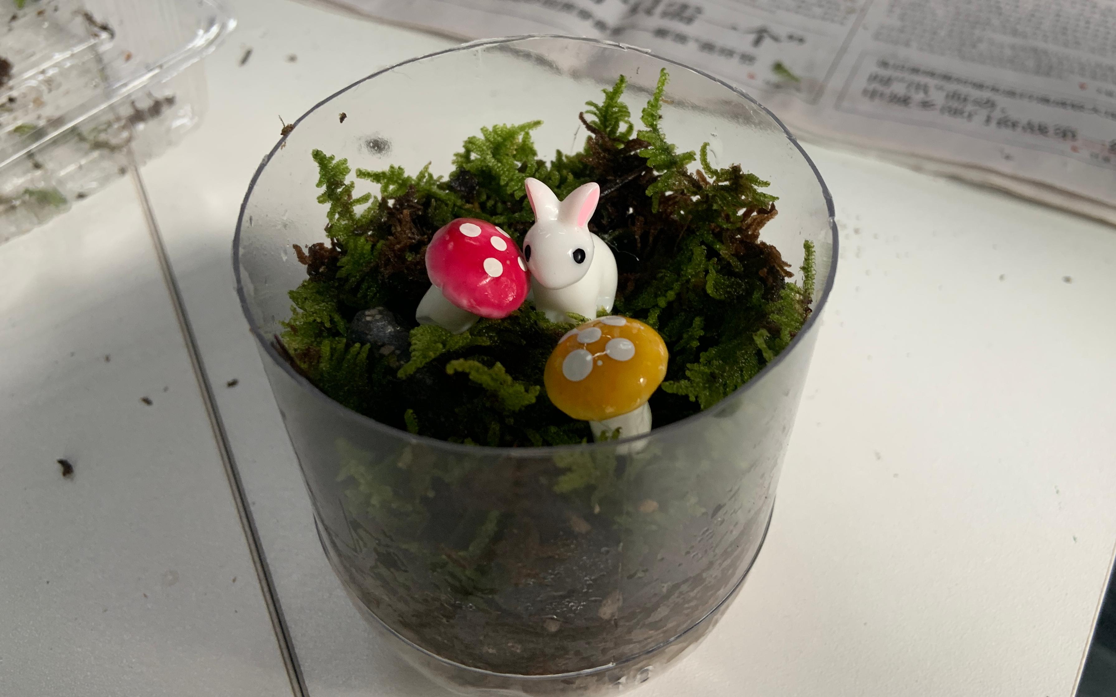 20230815151303506_微信图片_20230812143629.jpg 20230815151303506_微信图片_20230812143629.jpg