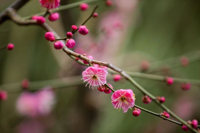 0227_102902_199.jpg 微信图片_2025-02-27_102915_340.jpg