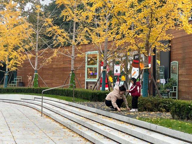 1216_131203_354.jpg 微信图片_2024-12-16_130559_745.png