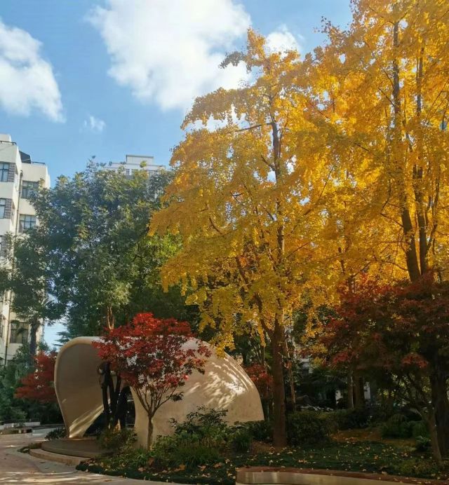 1216_131224_230.jpg 微信图片_2024-12-16_130603_992.png