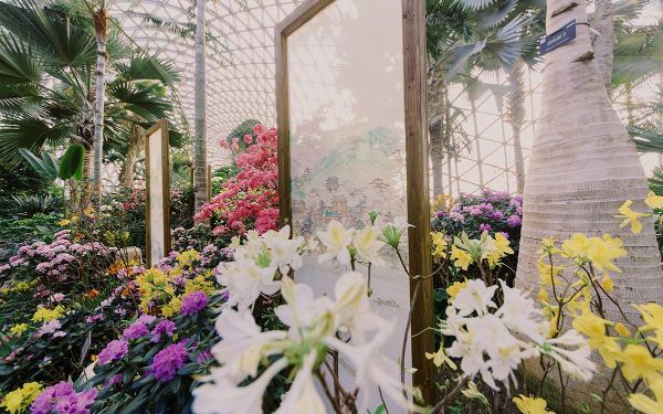 花影穿屏 (1).jpg 花影穿屏 (1).jpg