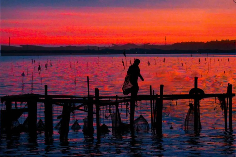 随着镜头中的涟漪,在水韵流转中感受青浦水美乡村 随着镜头中的涟漪,在水韵流转中感受青浦水美乡村