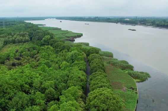 追风少年的春日漫游指南,带你邂逅青浦的N种风情! 追风少年的春日漫游指南,带你邂逅青浦的N种风情!