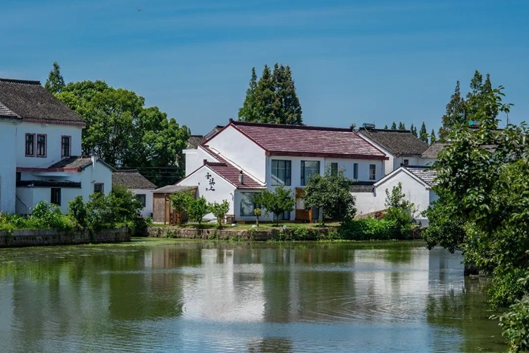 江南春景水一半，12处小流域绘青浦生态美域