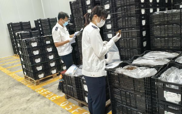 我站开展国外引种监管工作4.jpg