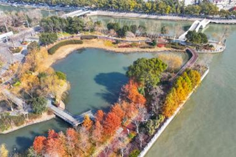 青浦河长:城中美湖,静谧安然 青浦河长:城中美湖,静谧安然