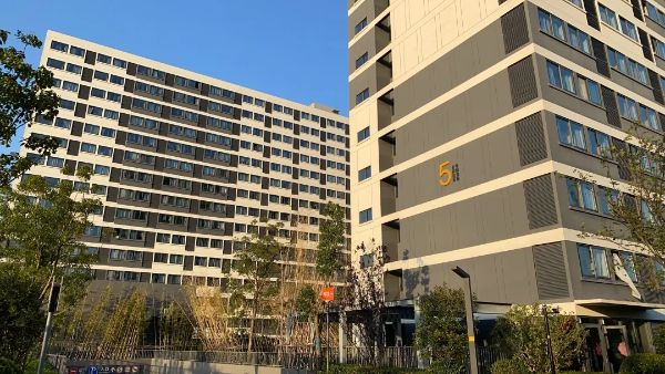 1127_152807827_332.jpg 20241127_152639_002.jpg