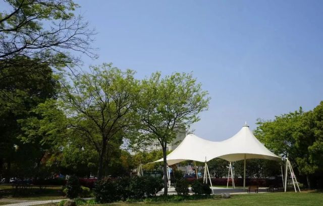 0525_094641_303.jpg 2.jpg