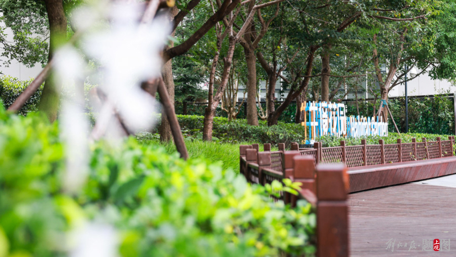 位于虹桥南丰城的上海首座商业体内生境花园。记者 海沙尔 摄.jpg 位于虹桥南丰城的上海首座商业体内生境花园。记者 海沙尔 摄.jpg