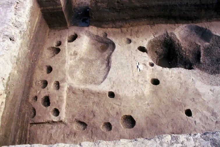 会·聚青浦|入住颜值与舒适并存的青浦民宿,隐逸乡野,静享秋欢! 会·聚青浦|入住颜值与舒适并存的青浦民宿,隐逸乡野,静享秋欢!