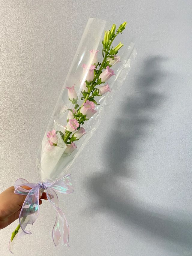 0427_124711_964.jpg 微信图片_2025-04-27_124705_635.png