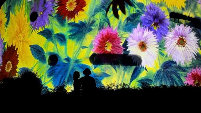 1015_141215_560.jpg 微信图片_20241015101751.jpg