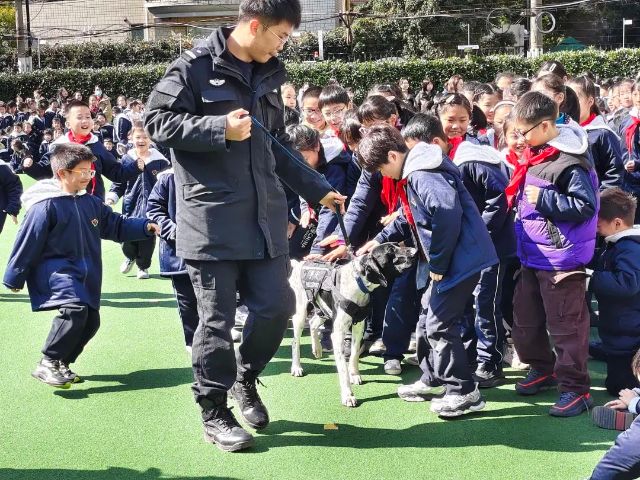 0218_143419_509.jpg 微信图片_2025-02-18_123442_620.jpg