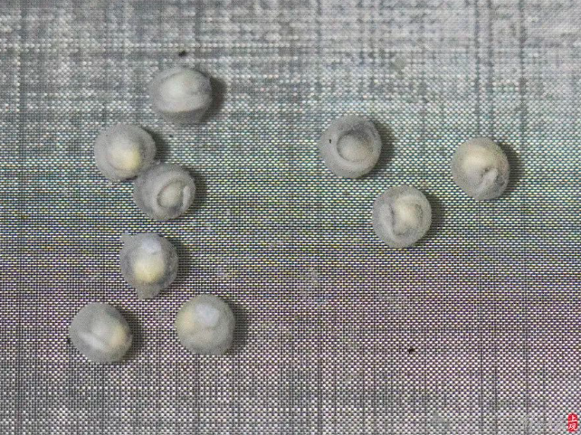 屏幕捕获_2024_10_10_09_27_08_742.png 屏幕捕获_2024_10_10_09_27_08_742.png