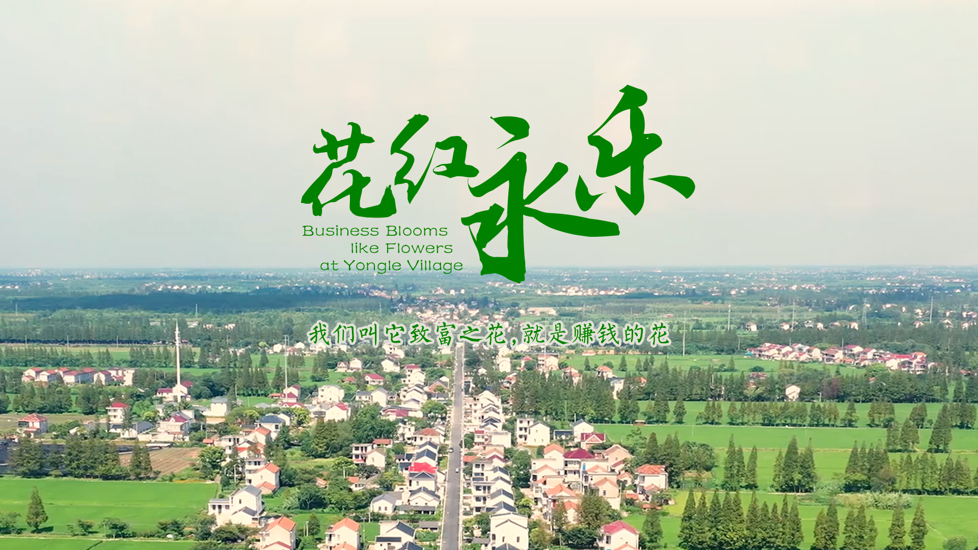 百姓话思想系列视频第二季第十五集：《花红永乐》