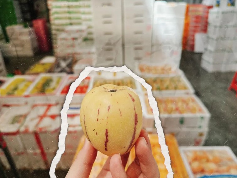 会·聚青浦|这篇超好逛的青浦购物图鉴,一定是“购物星人”的最爱! 会·聚青浦|这篇超好逛的青浦购物图鉴,一定是“购物星人”的最爱!