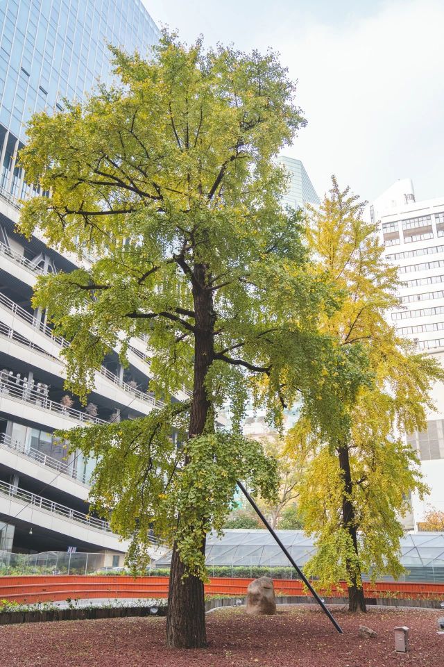 1216_150322_646.jpg 微信图片_2024-12-16_135339_018.png