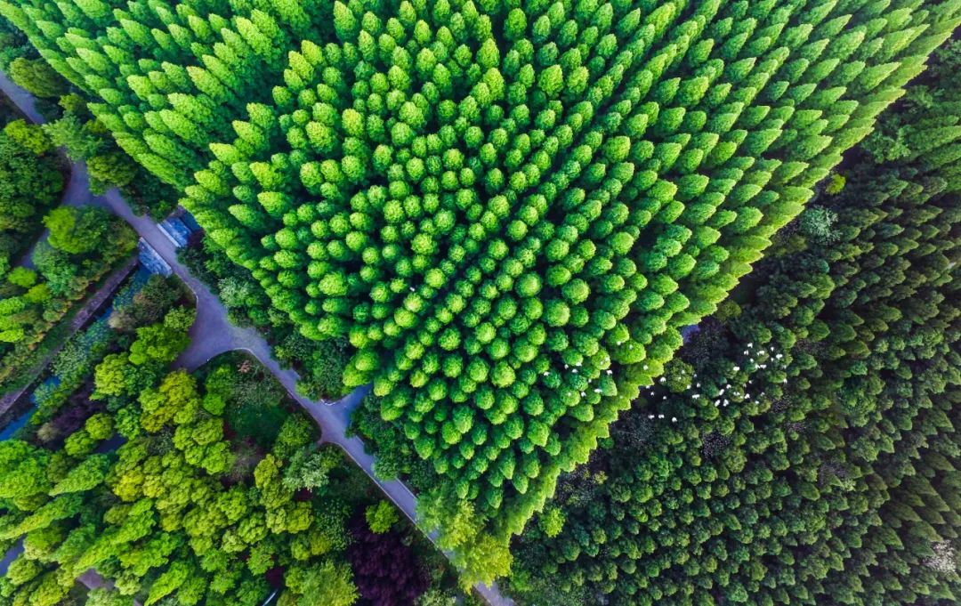 全面构筑生态环境优势,持续擦亮生态“底色”.jpeg 全面构筑生态环境优势,持续擦亮生态“底色”.jpeg