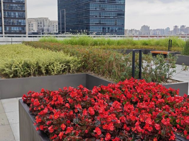 1119_122641_326.jpg 微信图片_20241119122622.jpg