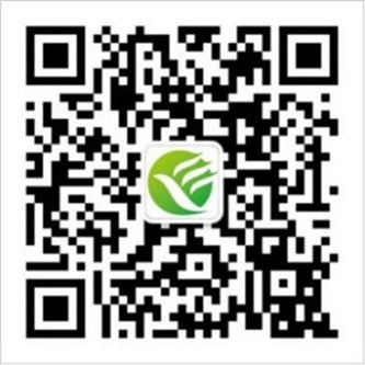 招聘会预告：多点联动齐发力，好岗送不停！青浦区2024年冬季综合招聘会重磅来袭！