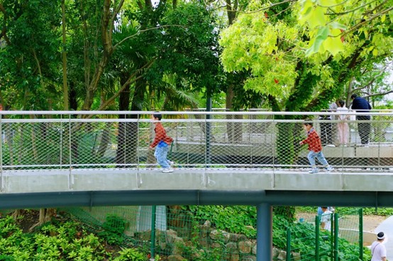 2026逛青浦环城水系公园指南